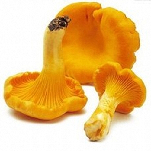 ˿500g