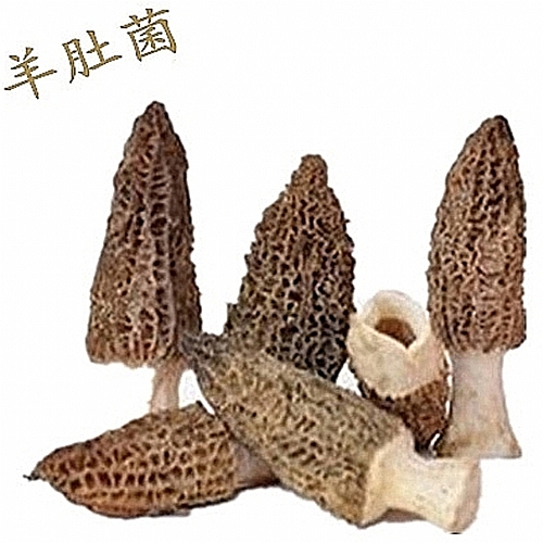 Ǿ500g