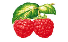 f7Ҳ1
